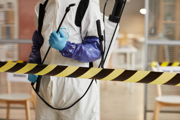Professional Infectious Disease Decontamination technician working in Bulverde, TX
