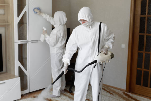24/7 Emergency Infectious Disease Decontamination experts in Bulverde, TX